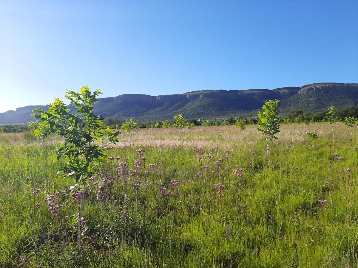 Remhoogte Mountain Lodge Jacksonstuin Kültér fotó
